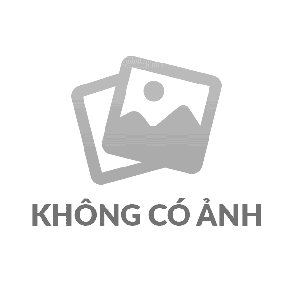 Hoạt động HĐND - UBND